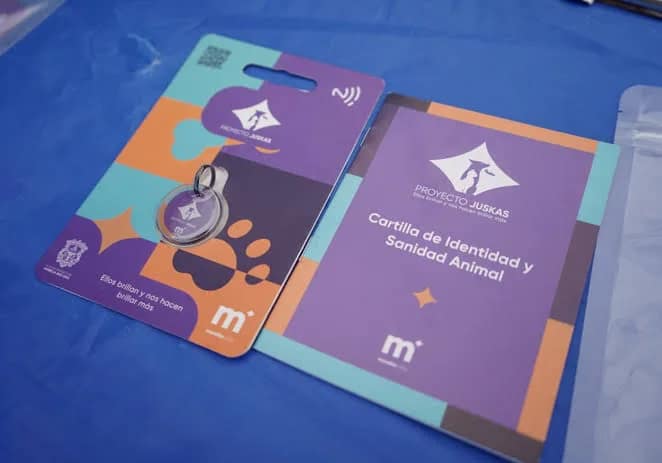 IMPA presenta “Juskas” para localizar mascotas con tecnología NFC en la Plaza de la Tecnología Morelia