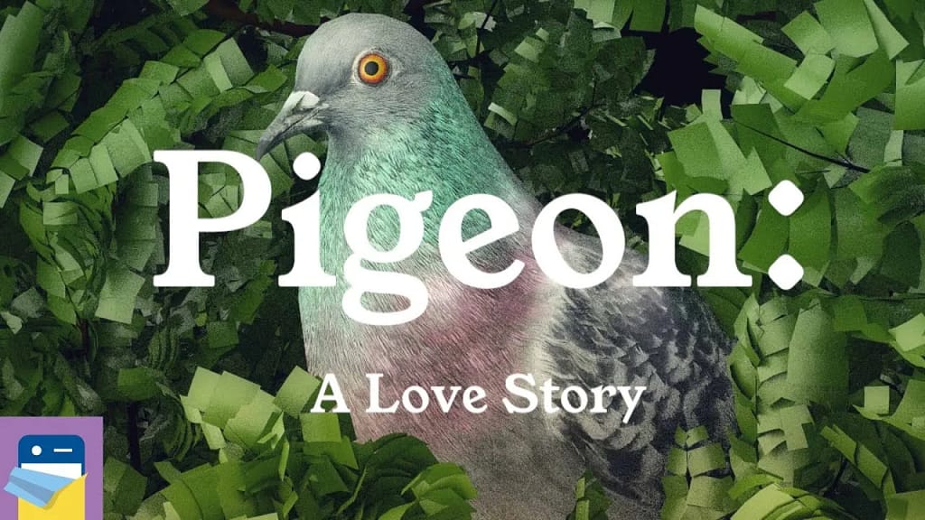 Wristwork Anuncia PIGEON: Una historia de amor