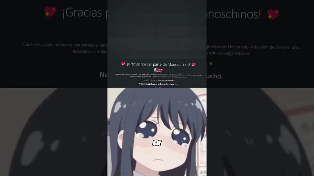 Monos chinos: el cierre de MonosChinos y qué está ocurriendo con su oferta de anime