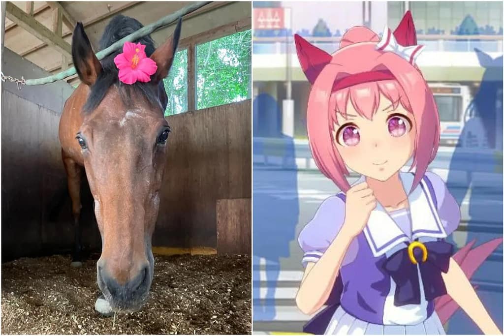 Haru Urara, inspiración para el personaje de la franquicia Uma Musume Pretty Derby, fallece