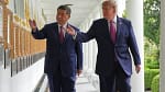 China y EU extienden la tregua comercial: Xi insiste en cooperación en IA, comercio y control del narcotráfico