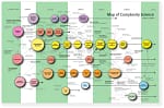 “Las ciencias” de la complejidad y el diseño: qué se considera ciencia cuando el sistema es imposible de reducir